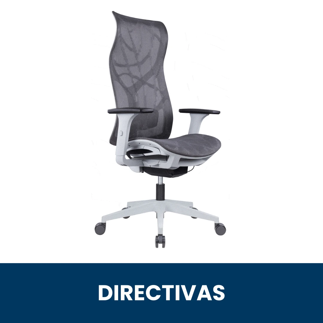 Directivas