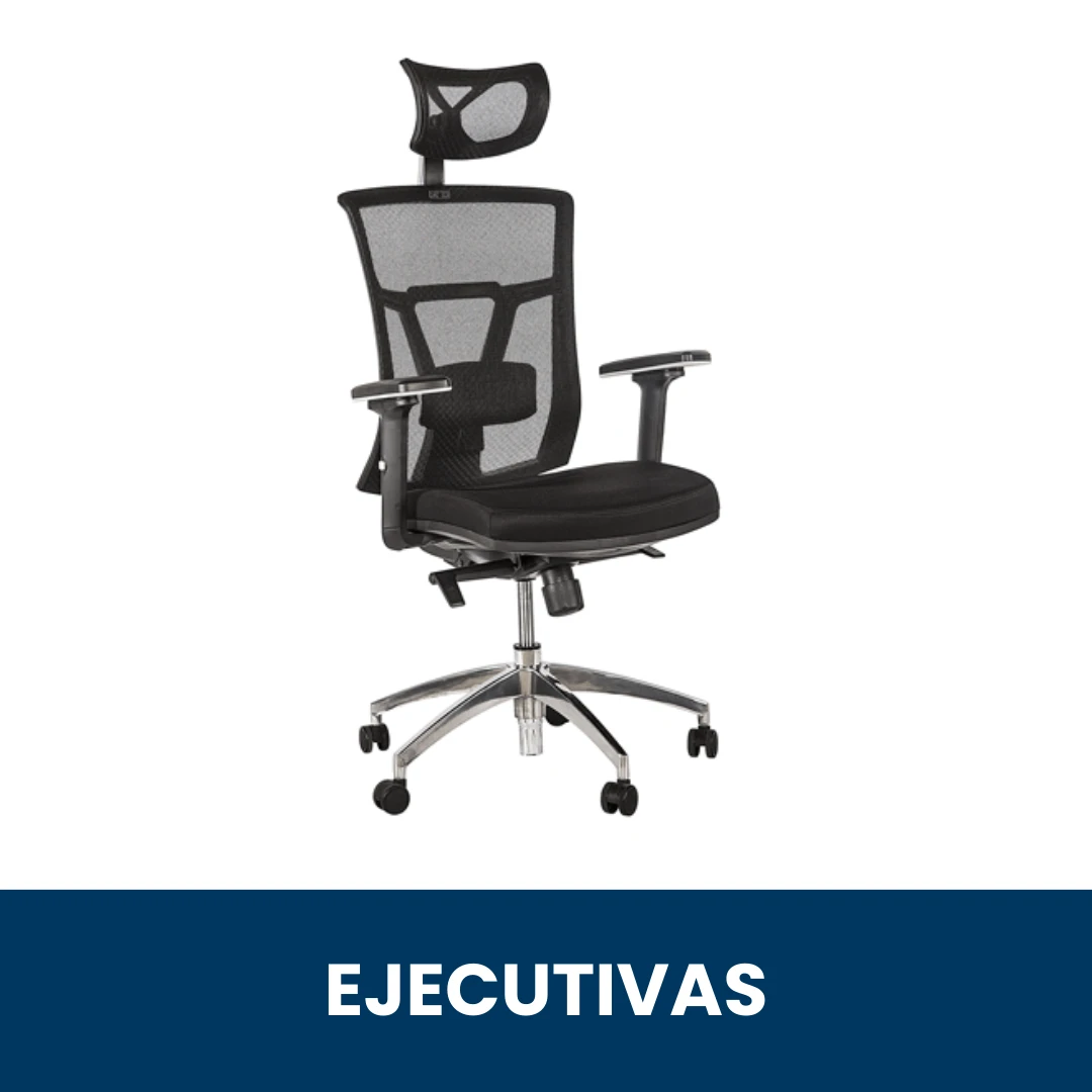 Ejecutivas